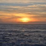 CambriaCN_0164 (November 05, 2016)